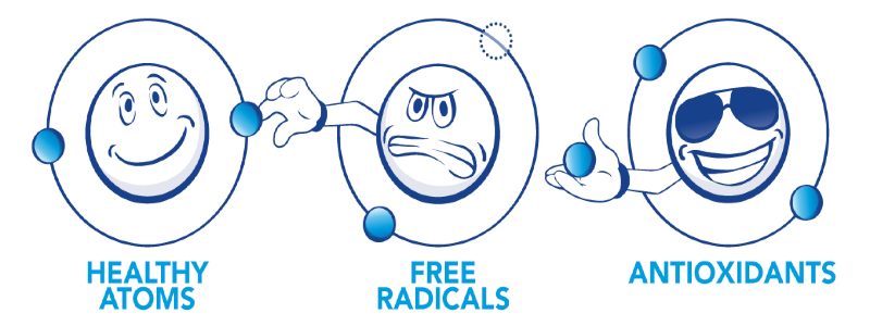 slobodni radikali i antioksidanti