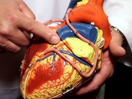 model srca bajpas